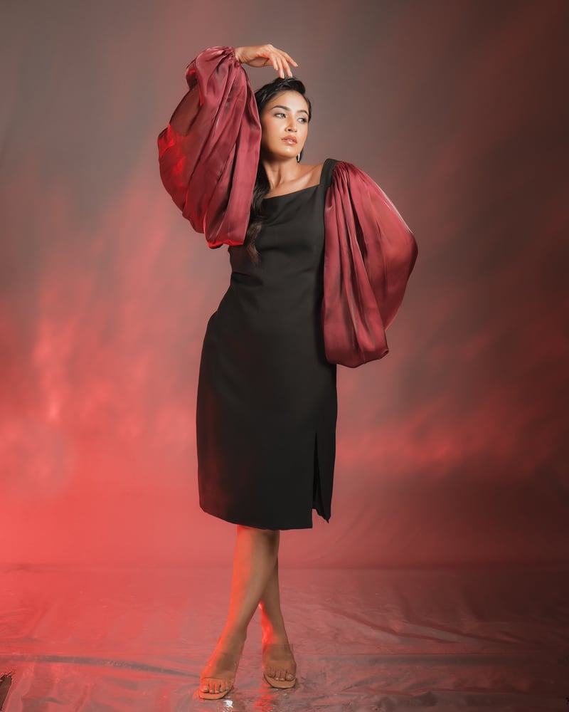 Black Sheath Dress with Maroon Organza Balloon Sleeves — Darling Girl
