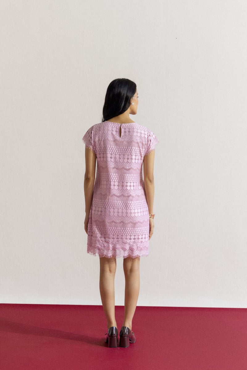 Blush Pink Lace Shift Dress with Scalloped Hem