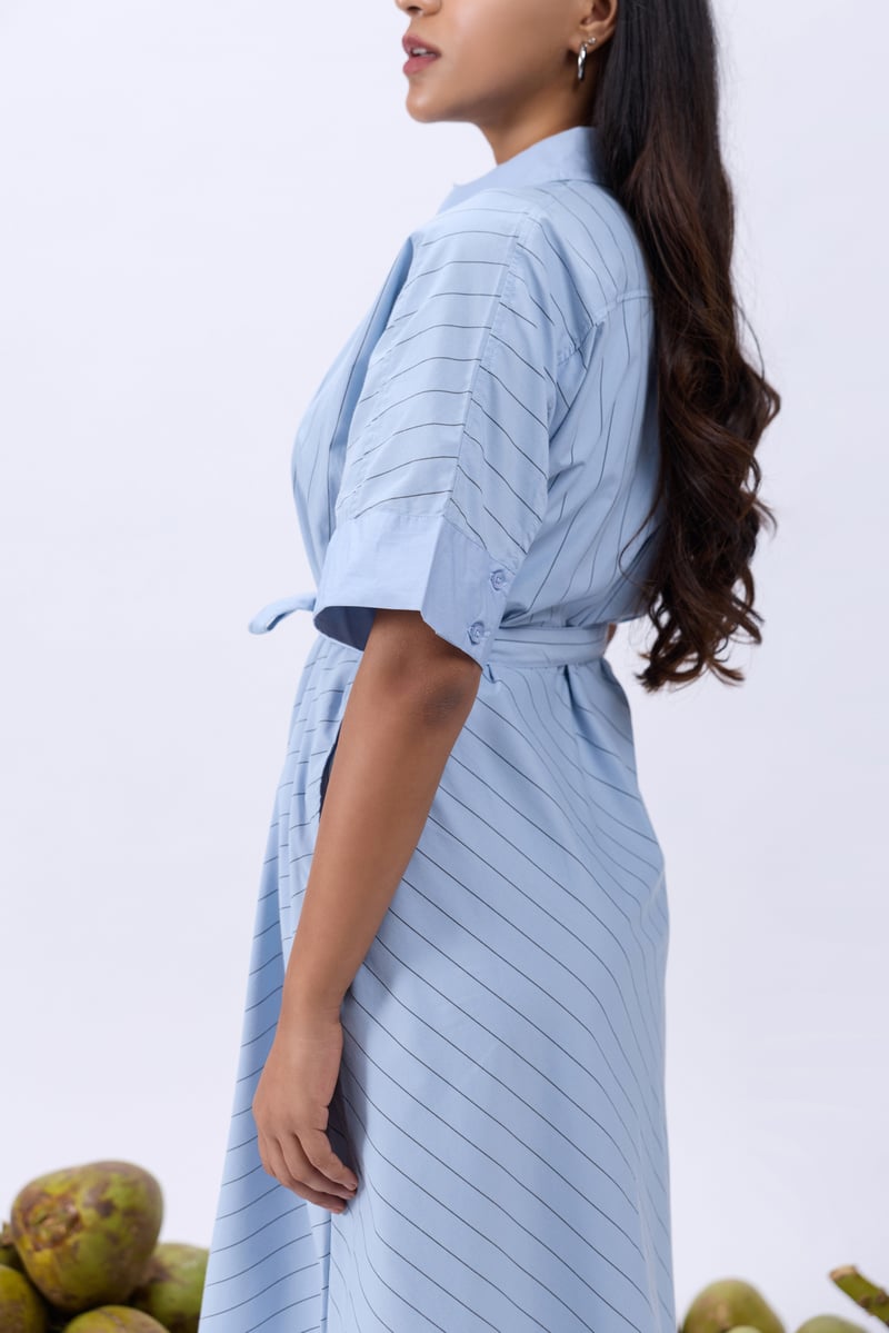 Blue Striped Cotton Poplin Midi Shirt Dress with Belt