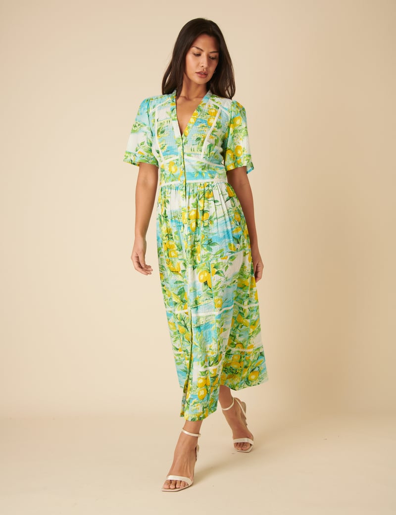 Multicolor Printed Fit and Flare Midi Dress
