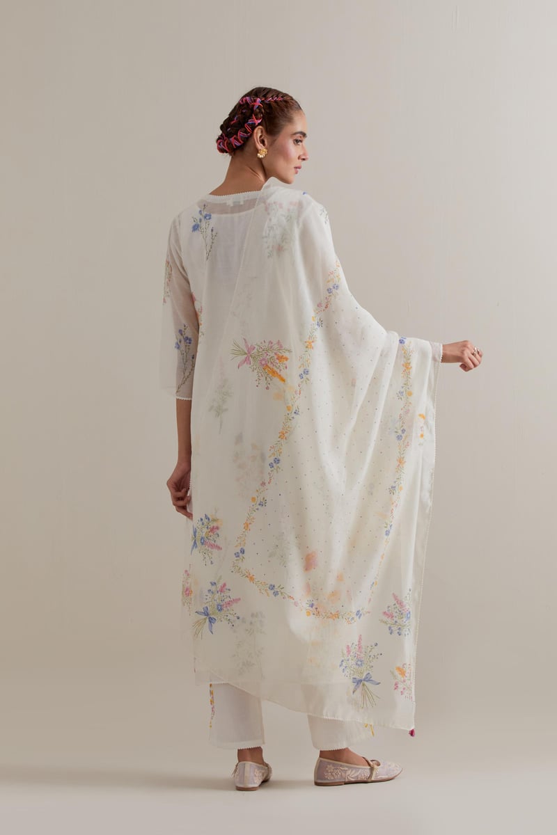 Dupatta Multi