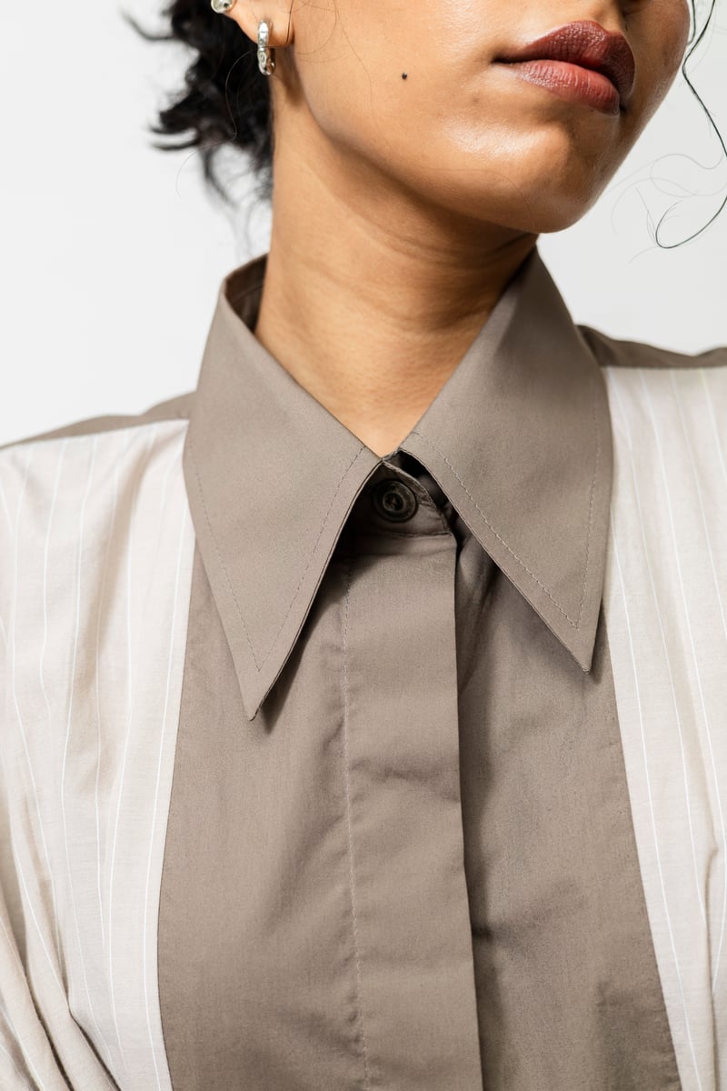 Beige Poplin Panelled Shirt Dress with Pleated Inserts