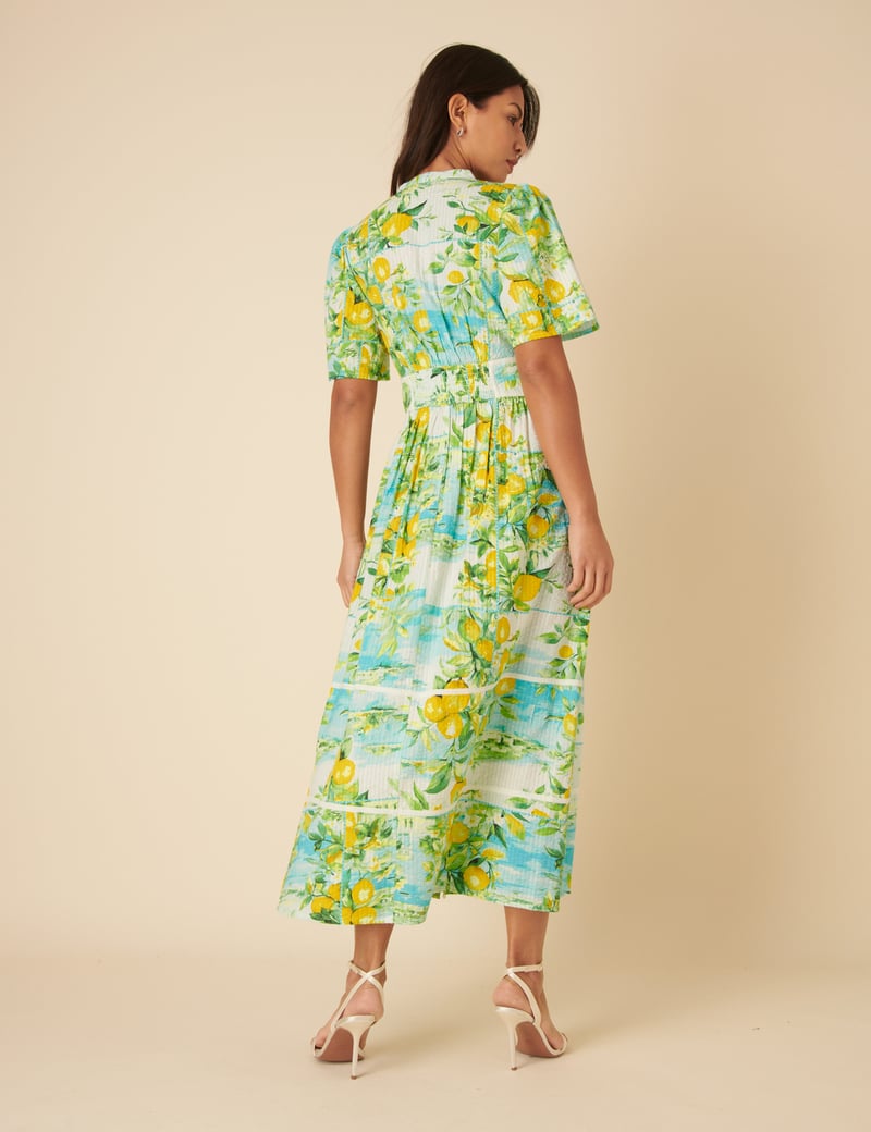 Multicolor Printed Fit and Flare Midi Dress