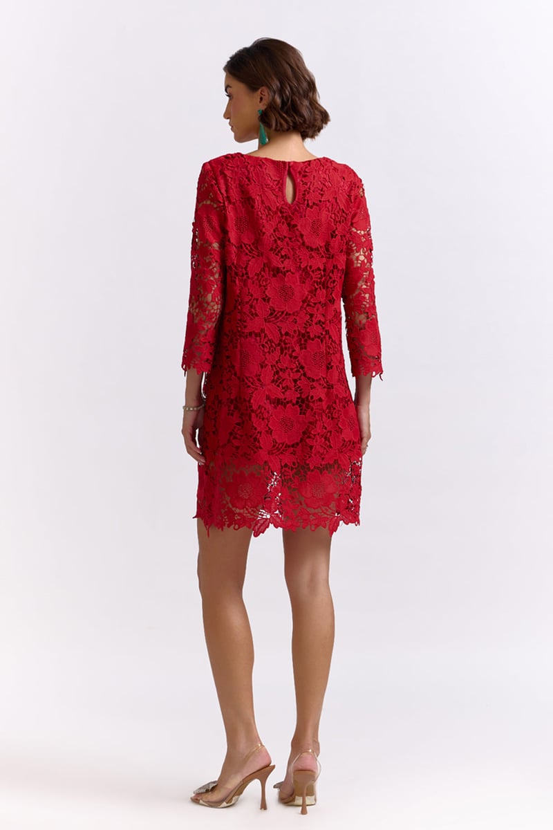 Red Lace Boat Neck Mini Dress