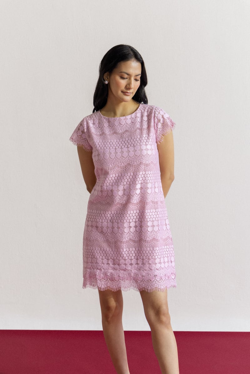 Blush Pink Lace Shift Dress with Scalloped Hem