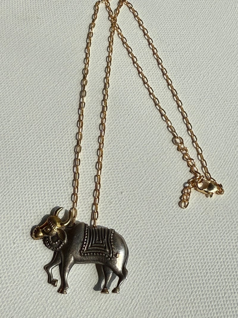 Nandi Chain Dual - Tone Small