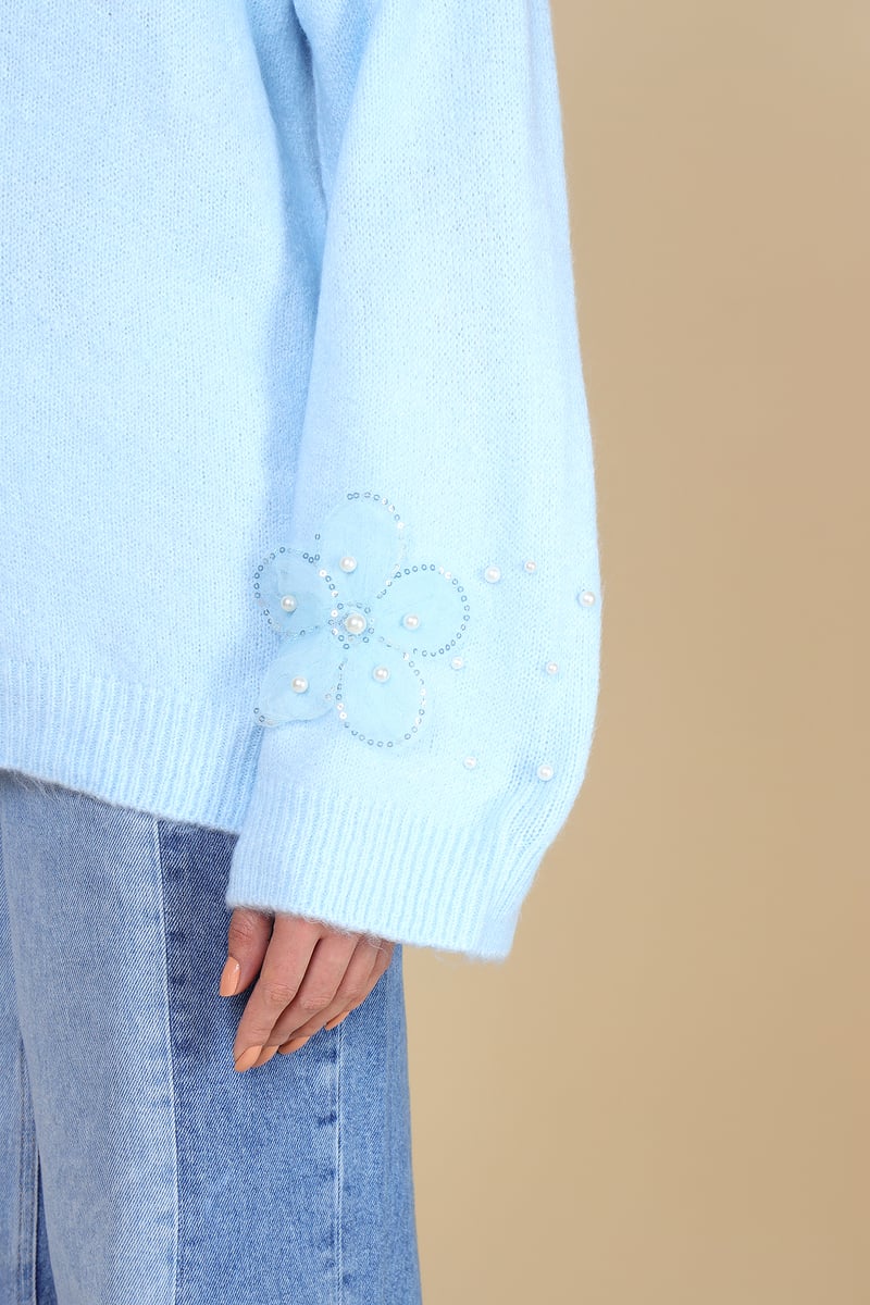 Light Blue Applique and Pearl-Detail Pullover Sweater