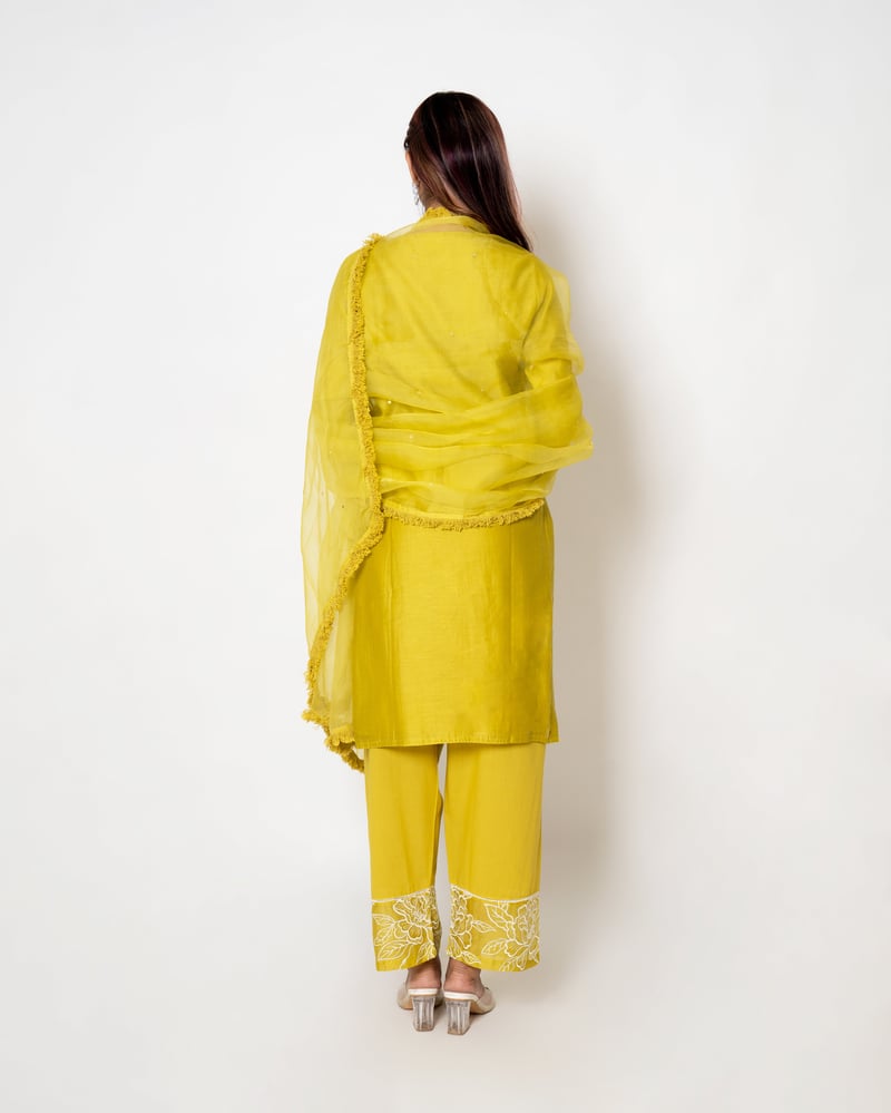 Daisy Delight Floral Embroidered Chanderi Suit Set